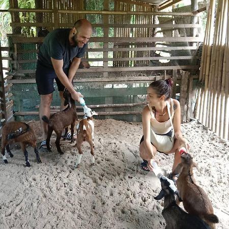 Yaoisland Resort And Farm Ko Yao Yai Ngoại thất bức ảnh