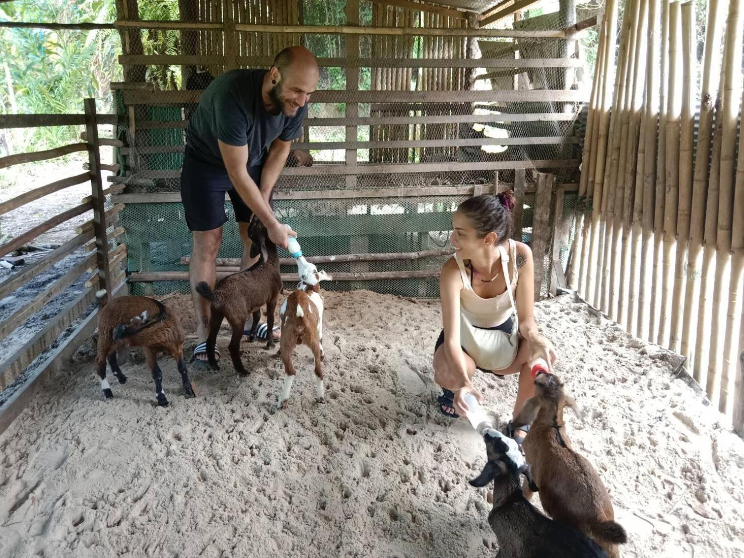 Yaoisland Resort And Farm Ko Yao Yai Ngoại thất bức ảnh