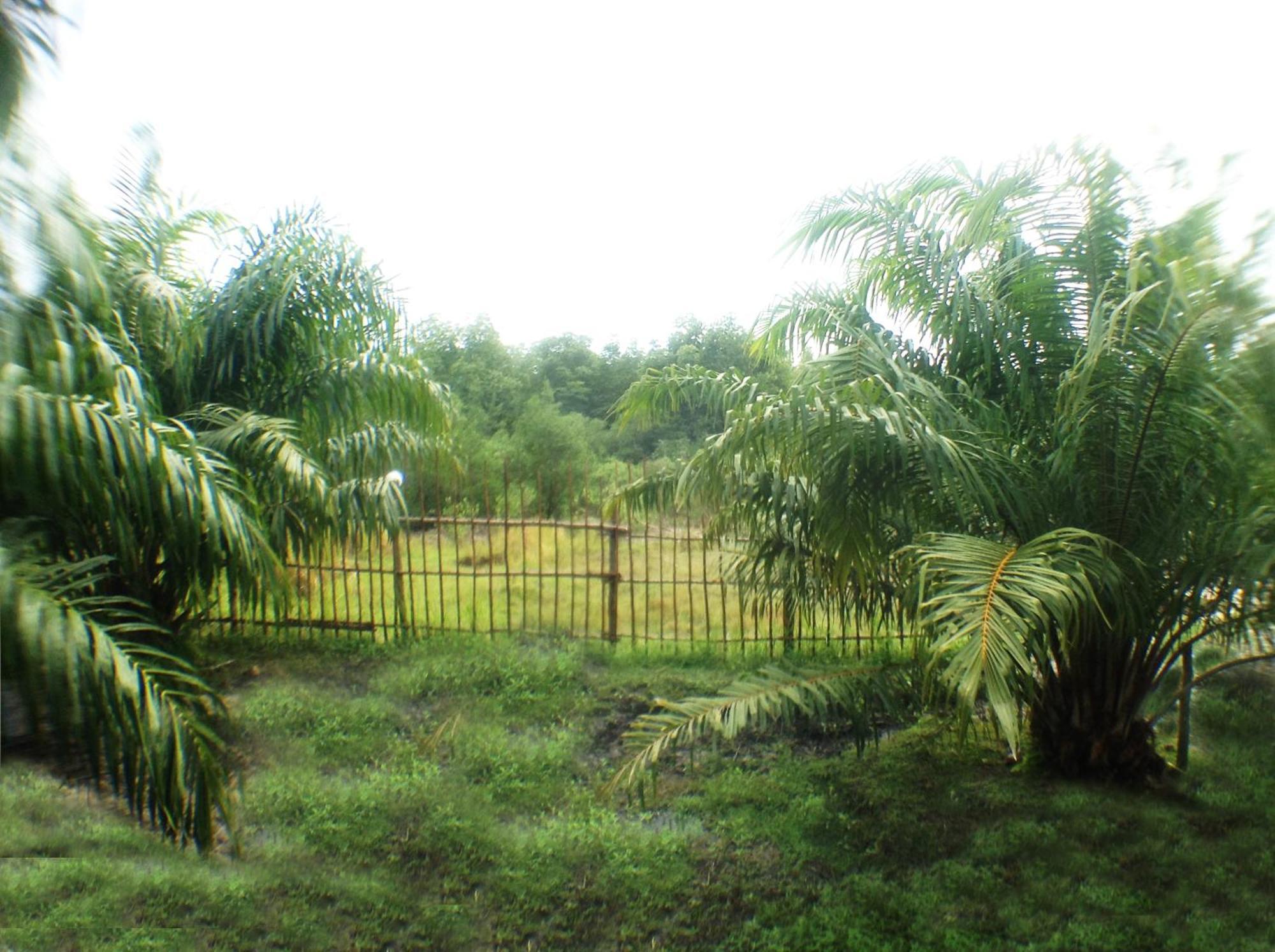 Yaoisland Resort And Farm Ko Yao Yai Ngoại thất bức ảnh