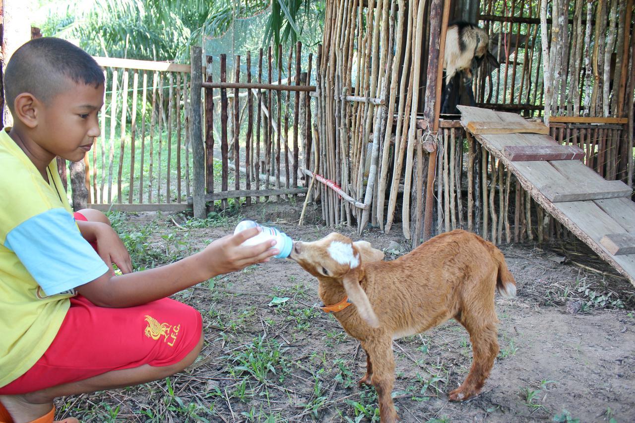 Yaoisland Resort And Farm Ko Yao Yai Ngoại thất bức ảnh