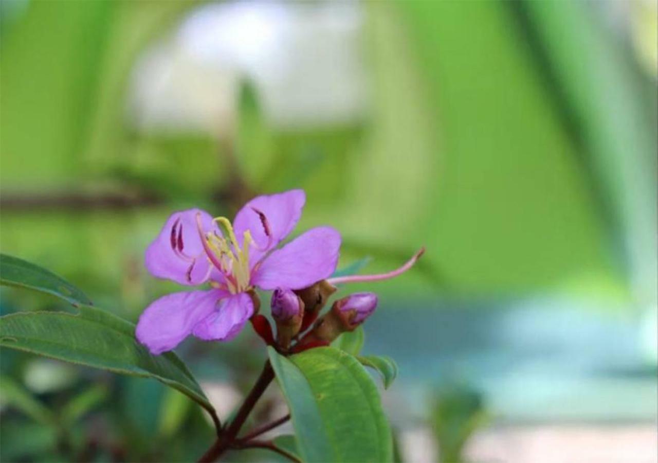 Yaoisland Resort And Farm Ko Yao Yai Ngoại thất bức ảnh