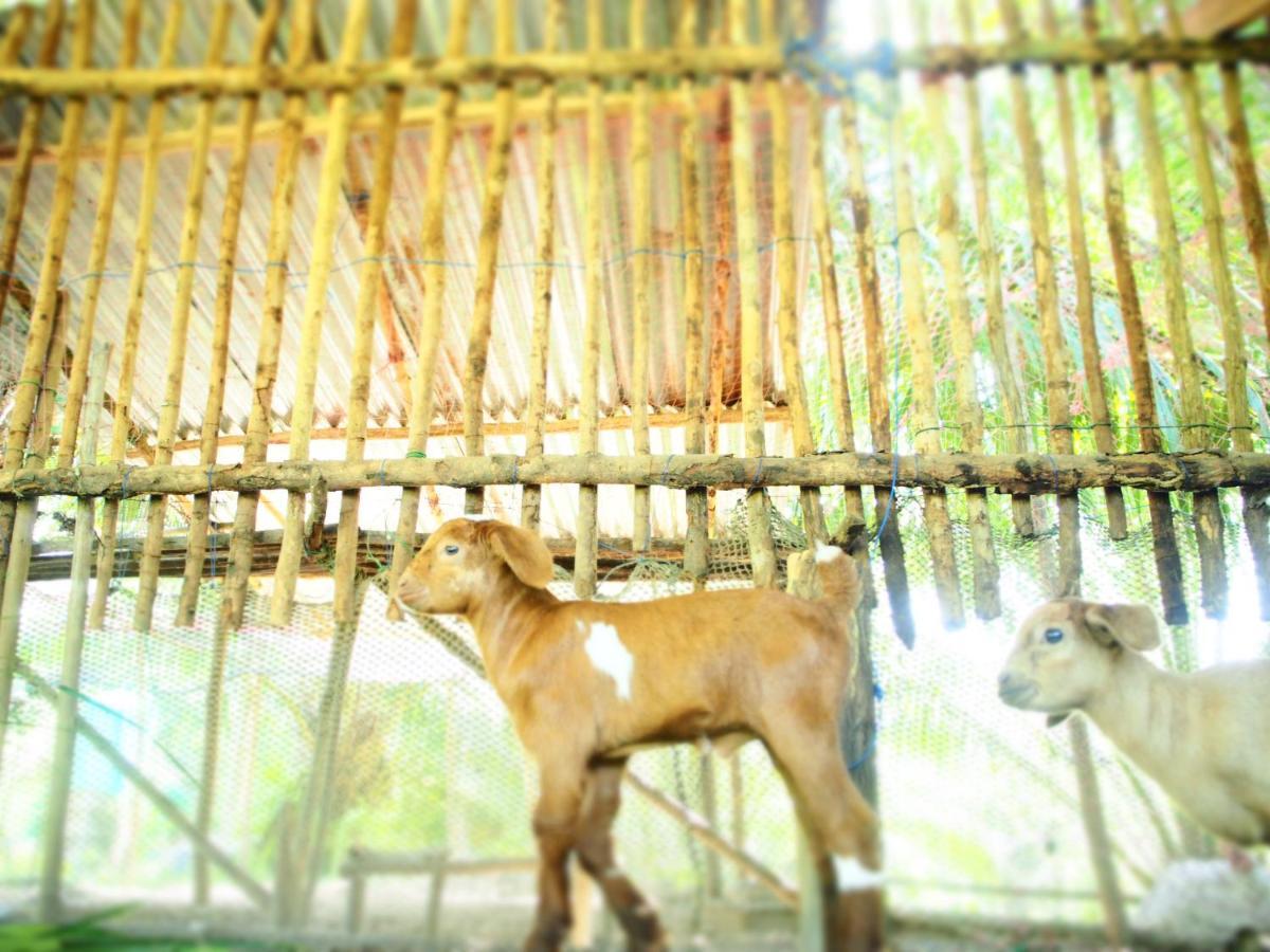 Yaoisland Resort And Farm Ko Yao Yai Ngoại thất bức ảnh